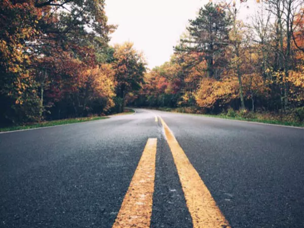 Fall foliage on both sides of a paved road that seems to stretch on for miles