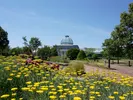 Lewis Ginter Botanical Garden in Richmond, Virginia